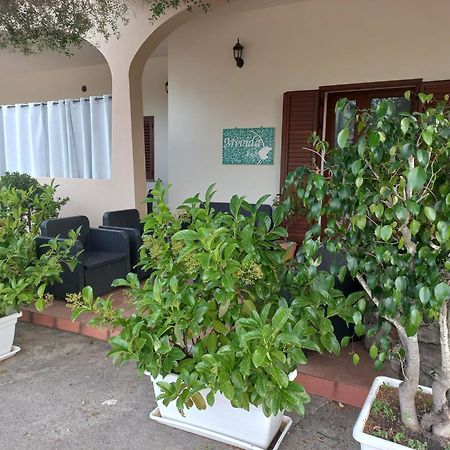 Mivida "Le Stanze Di Ada" Bed & Breakfast San Teodoro  Exterior foto