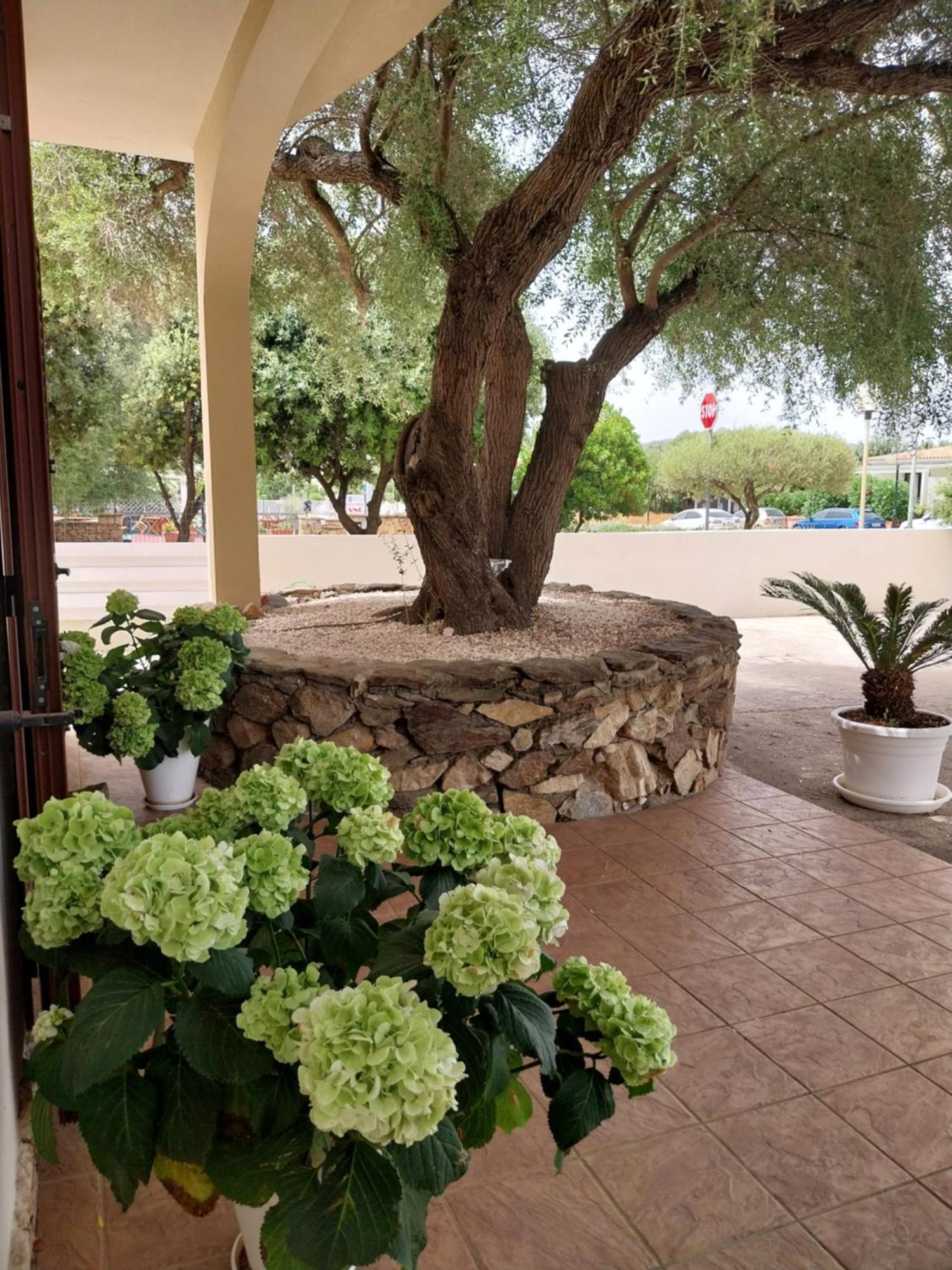 Mivida "Le Stanze Di Ada" Bed & Breakfast San Teodoro  Exterior foto