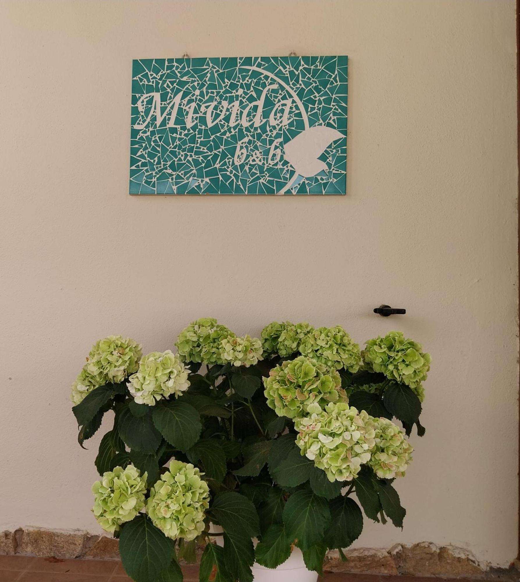 Mivida "Le Stanze Di Ada" Bed & Breakfast San Teodoro  Exterior foto